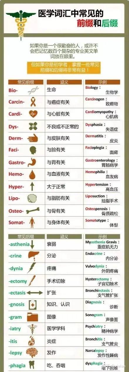 收藏 | 医学英语词汇的一些规律汇总 - 知乎