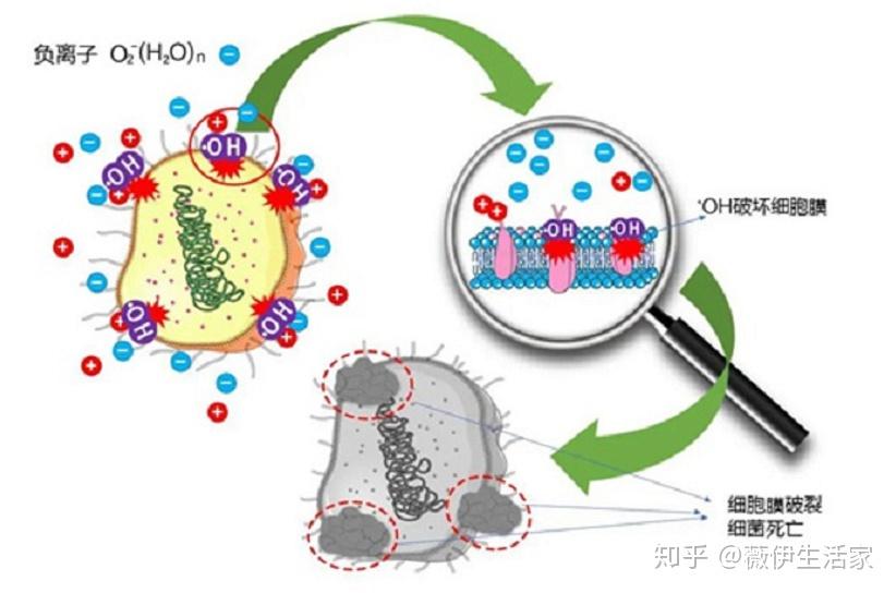 开学了会不会交叉感染怎样将风险降到最低