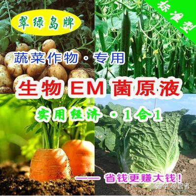茄子落花落果的原因分析 知乎
