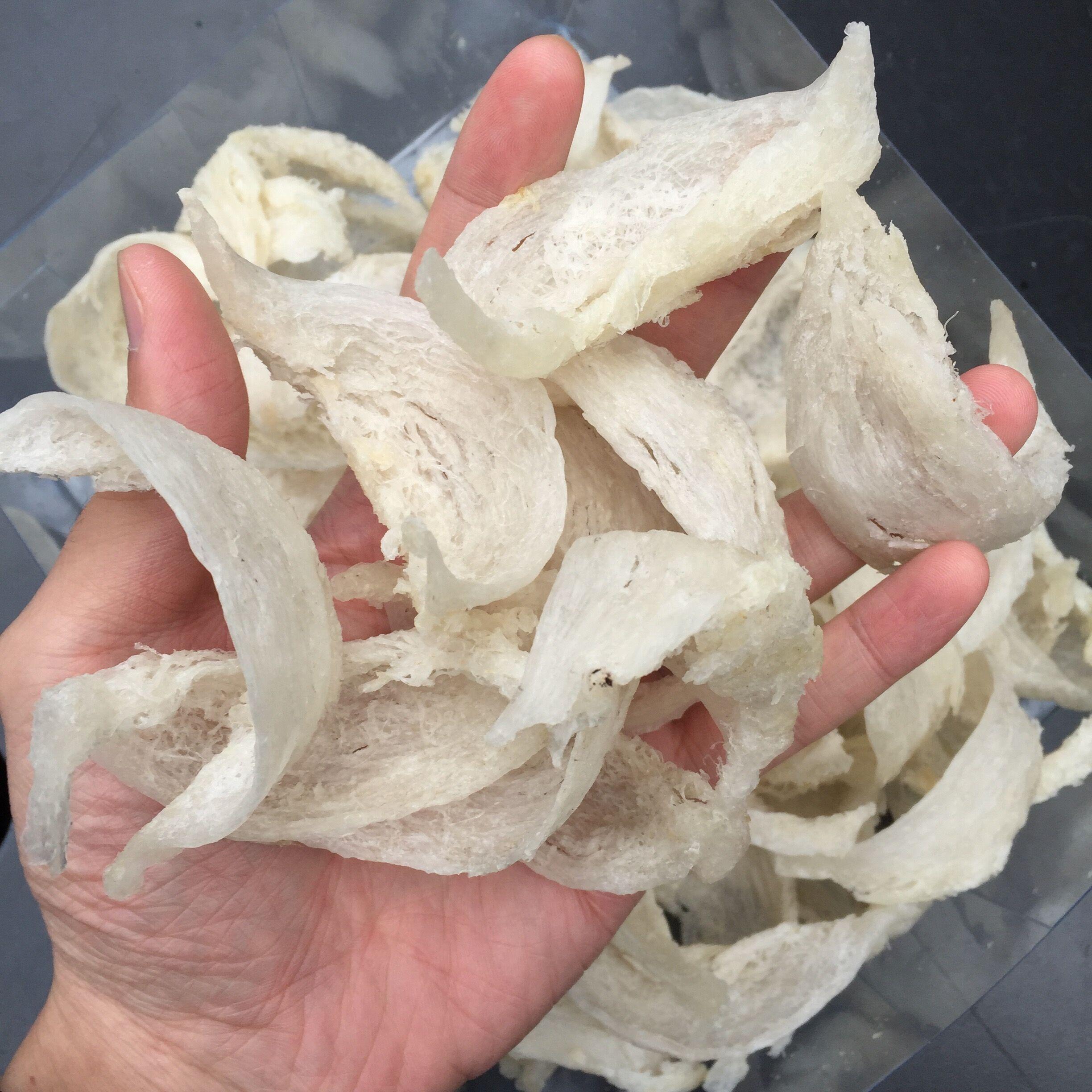 燕窝揭秘毛燕净燕燕条雨季燕窝干挑湿挑如何区分