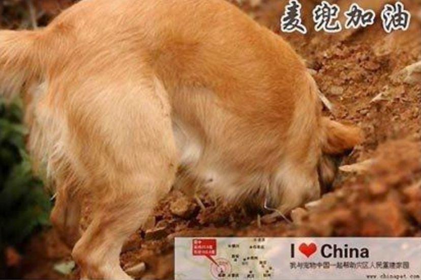 这两具被毒死的尸体,暴露了人性的恶……-惨被毒死