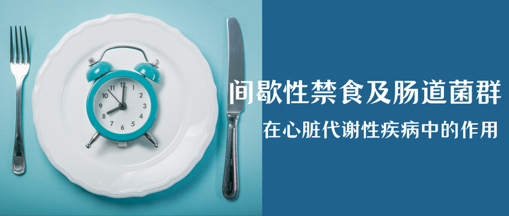 间歇性禁食及肠道菌群在心血管代谢疾病中的作用 - 知乎