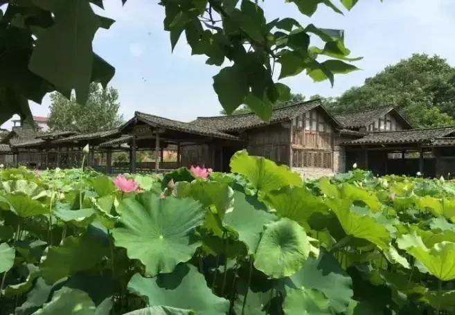 天津朴门永续农场招募合伙人,共建人,农场小主和志愿者