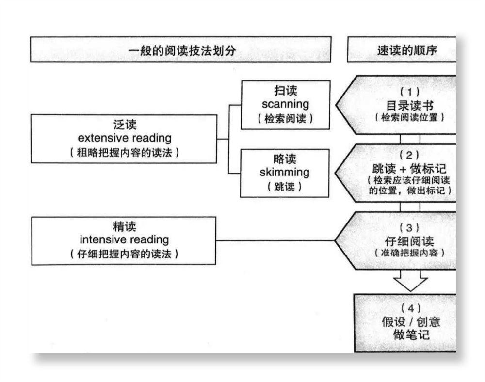 这些年,你的阅读能力提高了多少? - 知乎