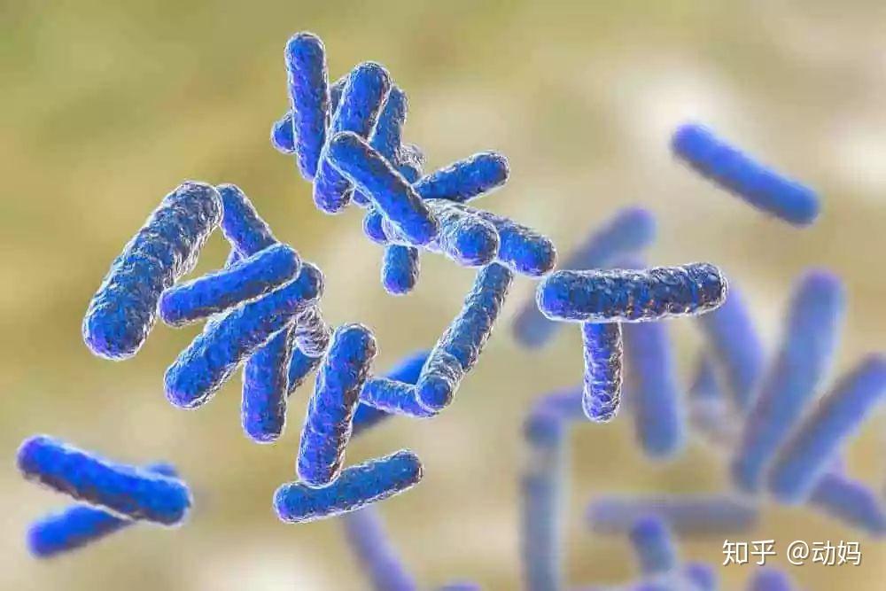 孩子腹泻或便秘就吃益生菌专家益生菌不是万能的
