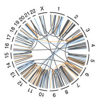 高大上的弦图 - 知乎