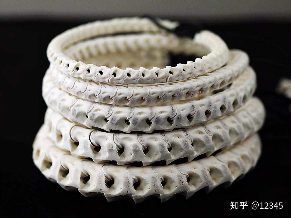 揭秘印度古老幻术"通天绳":绳子直通云霄,小孩是怎么消失的?