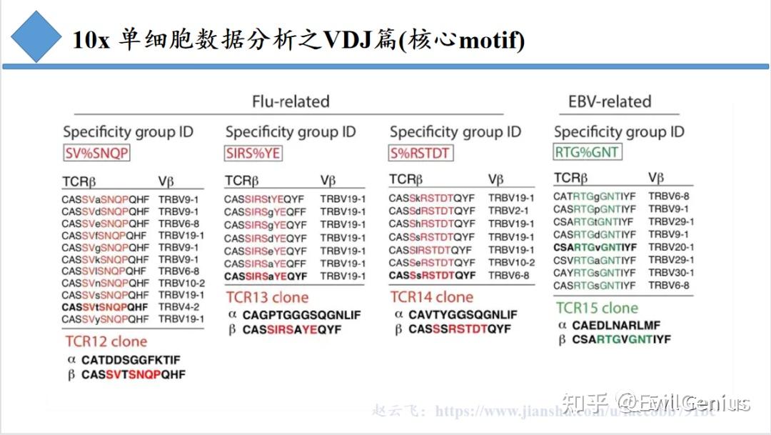 单细胞数据分析之VDJ篇公开课 - 知乎
