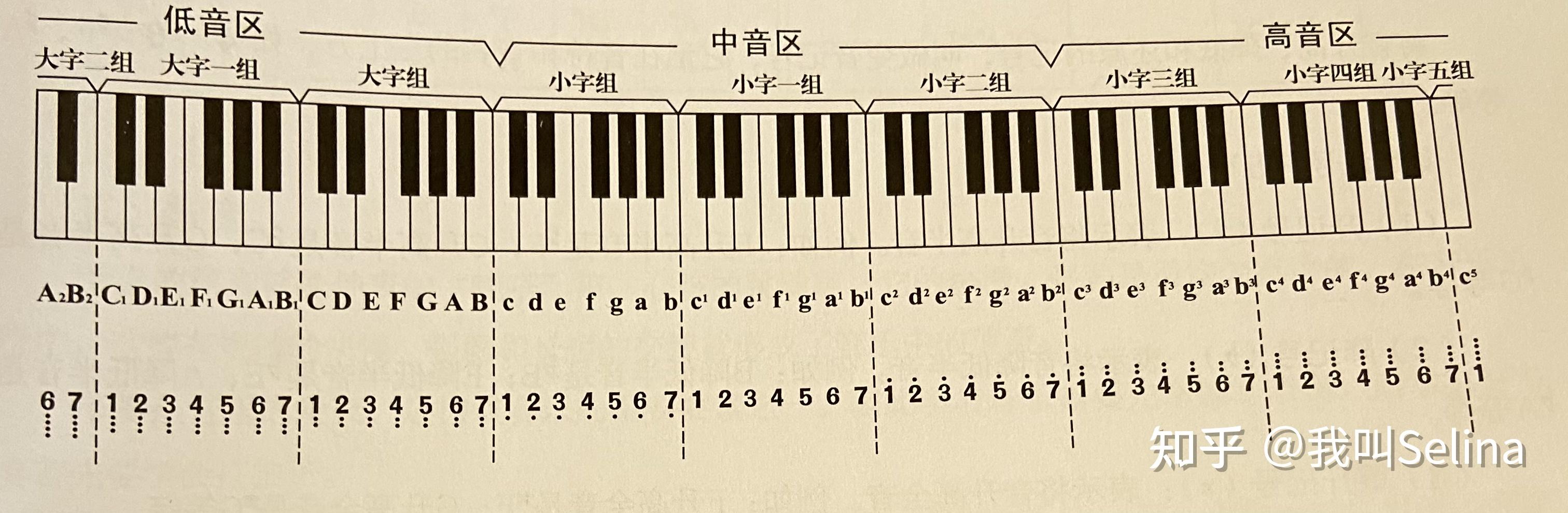 乐理高音谱表图片