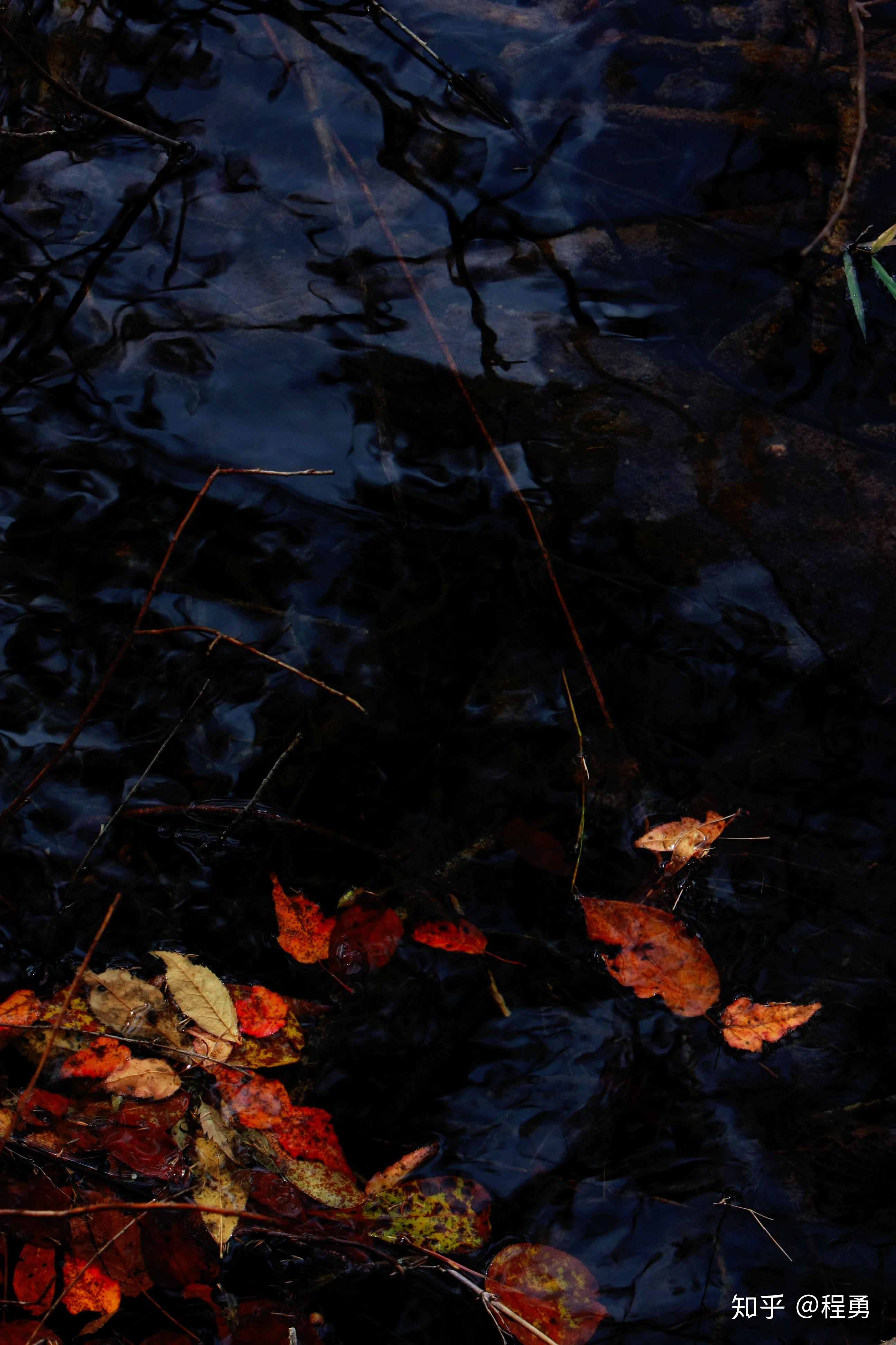 四川九寨秋天落叶话股市