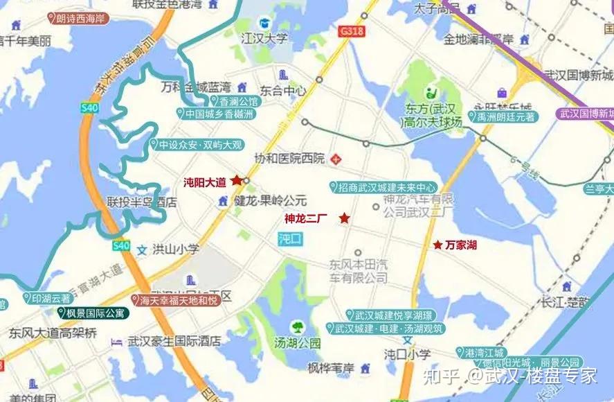 武汉沌口海天要建地铁图片