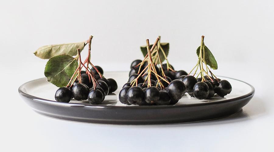 浅谈黑果腺肋花楸(不老莓)的活性成分及功能 - 知乎