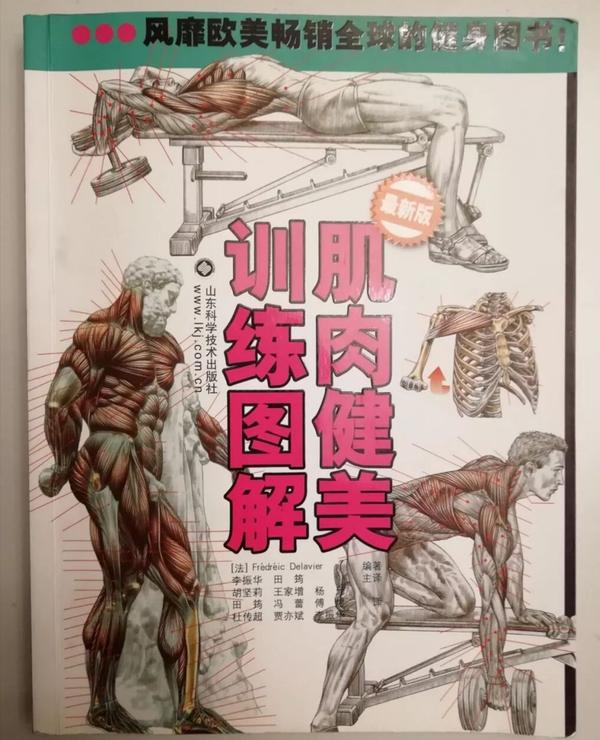 手臂肌肉图解 知乎