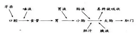 范进中举表格式教案