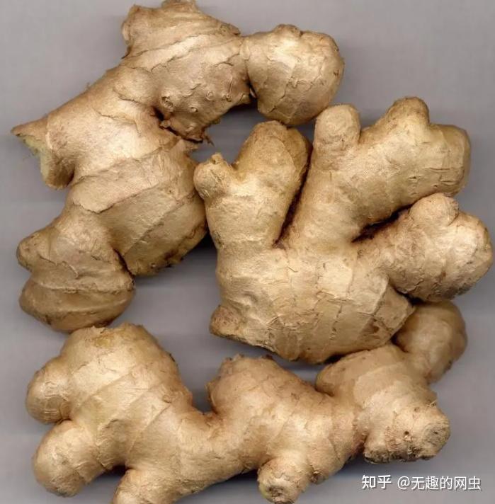 姜有哪些功效和作用? - 知乎