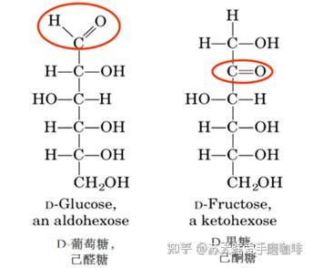 生物化学思维导图-糖类结构 - 知乎