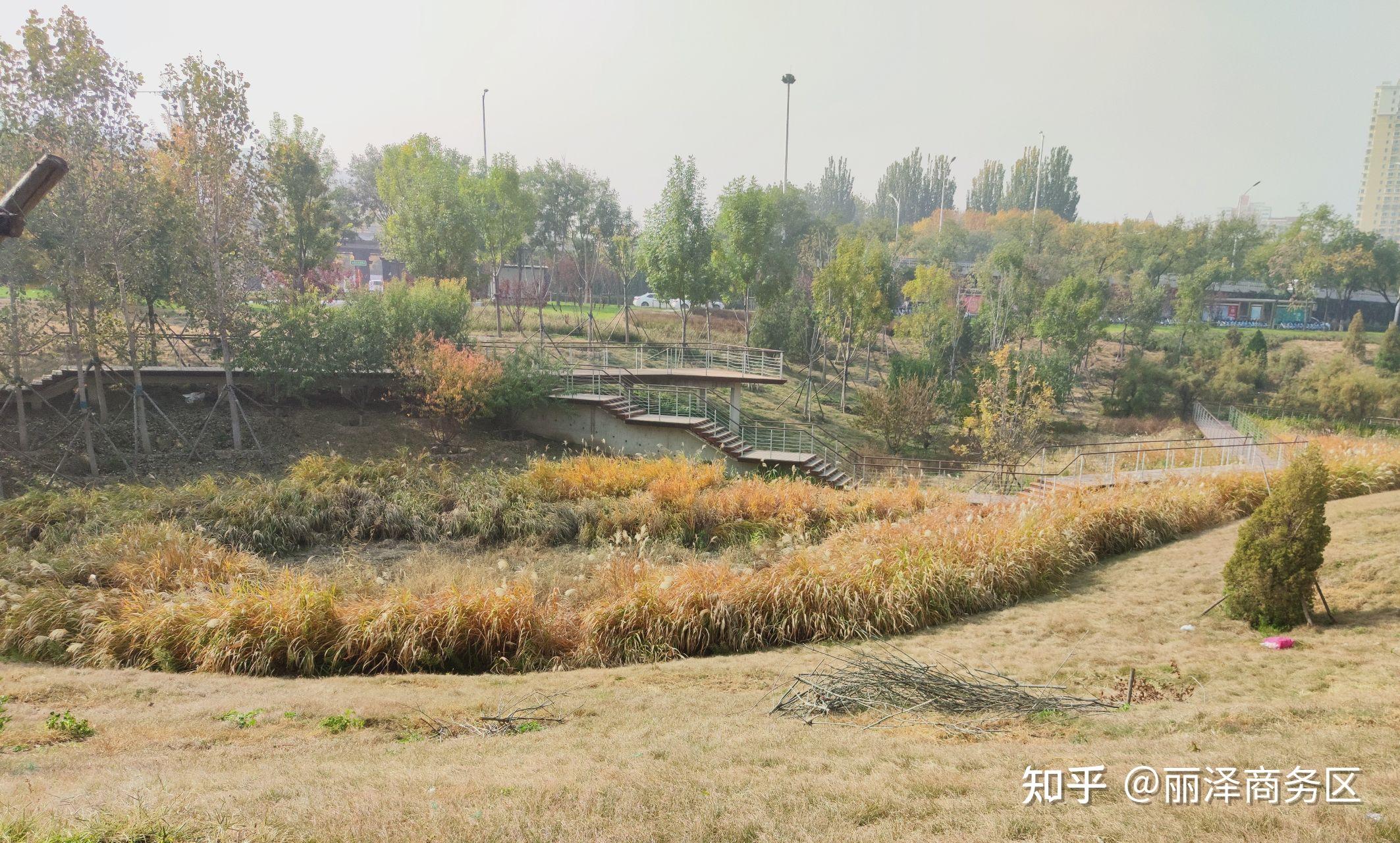 丽泽四大公园之一城市运动公园
