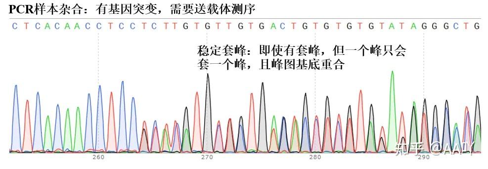测序峰图如何看(转载) - 知乎