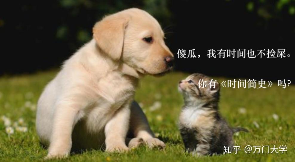 v2-97a672697d6d6d5913aa15a104f1cbce_r.jpg