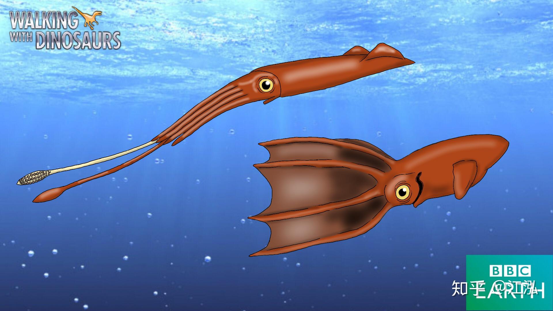巨型鱿鱼3D模型 - TurboSquid 1435657