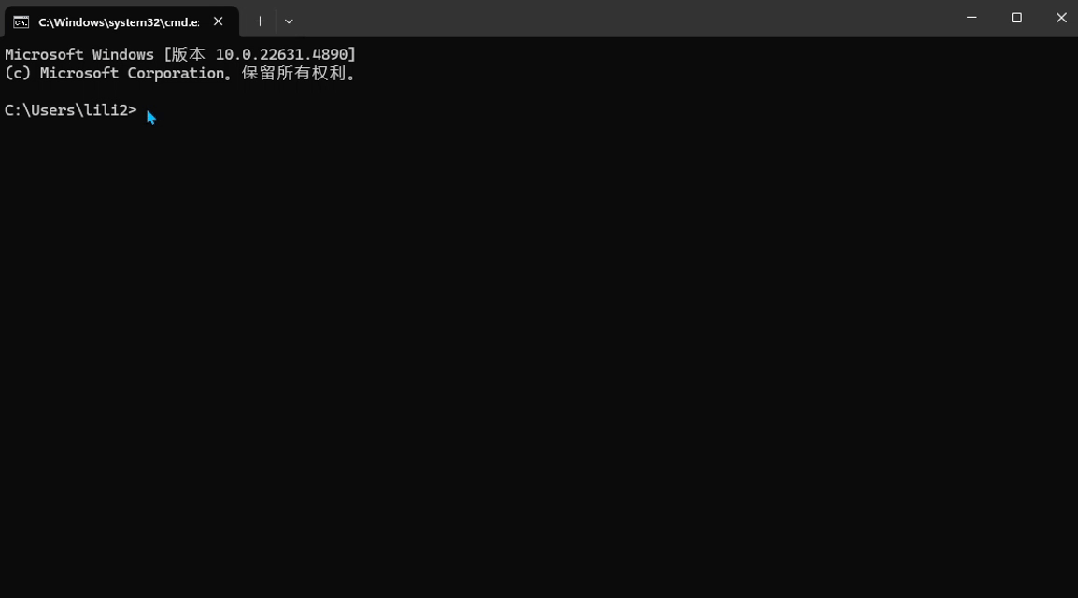 Deepseek win 