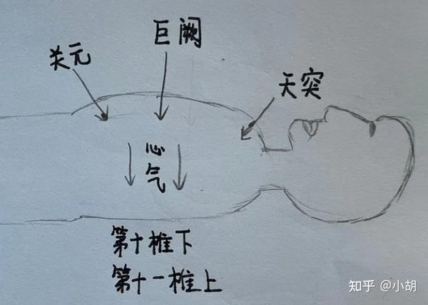 海厦针灸课笔记(5)— 任脉之鸠尾、膻中、天突 - 知乎