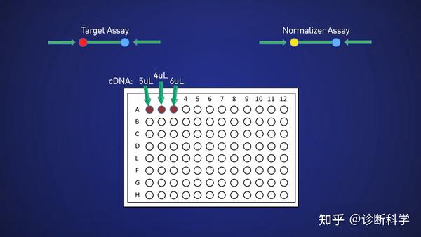 分子 聊一聊单孔单重pcr和单孔多重pcr 知乎 6673