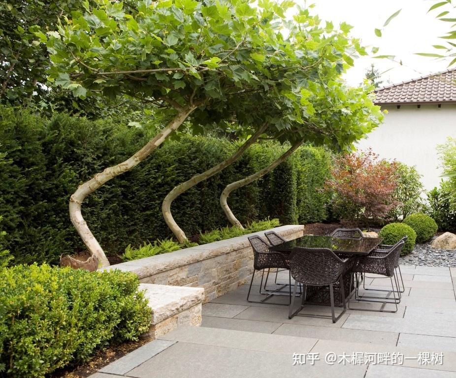 show garden: lg eco-city garden③ 在休憩与餐饮空间附近布置树木