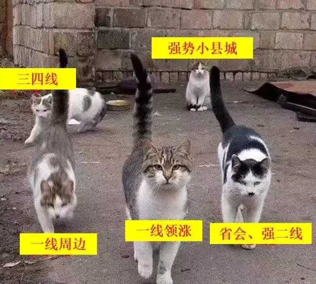 如何看待 2017 年部分三四线城市房价疯涨的现