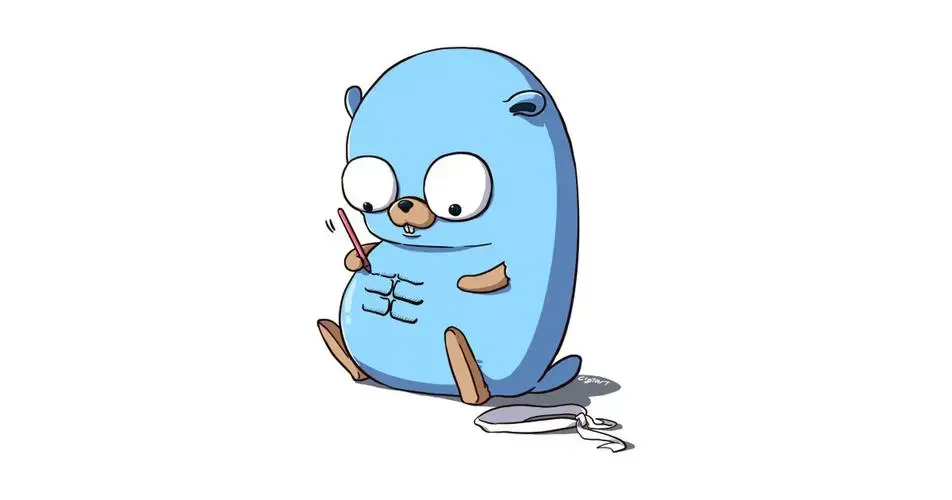 2022年最新 Go 语言学习指南! - 知乎