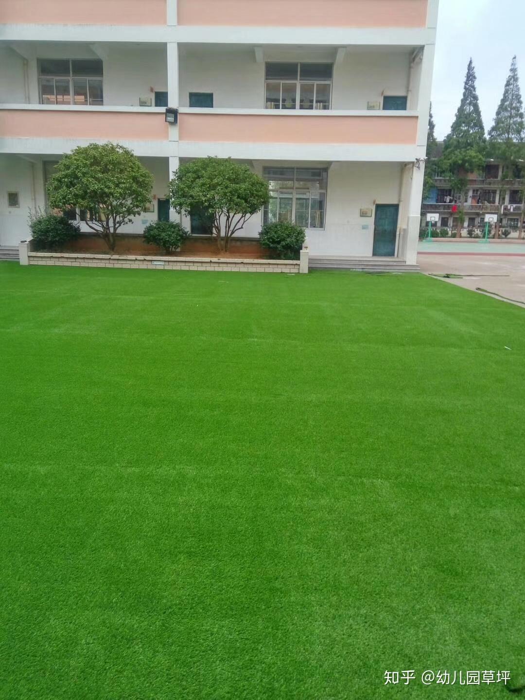 幼儿园专用草坪当你落魄时真心朋友有几个