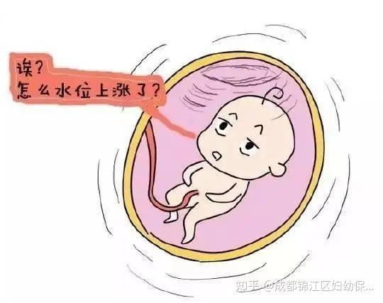 锦江妇幼带你了解羊水过多或过少的原因 知乎