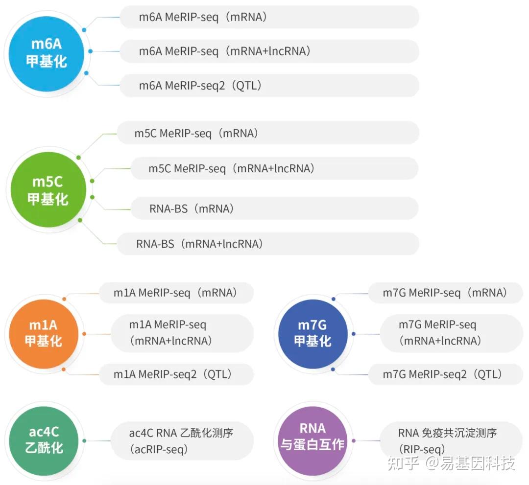 RNA甲基化修饰整体研究方案——m6A、m5C、m1A、m7G、ac4C、RNA与蛋白互作（RIP） - 知乎