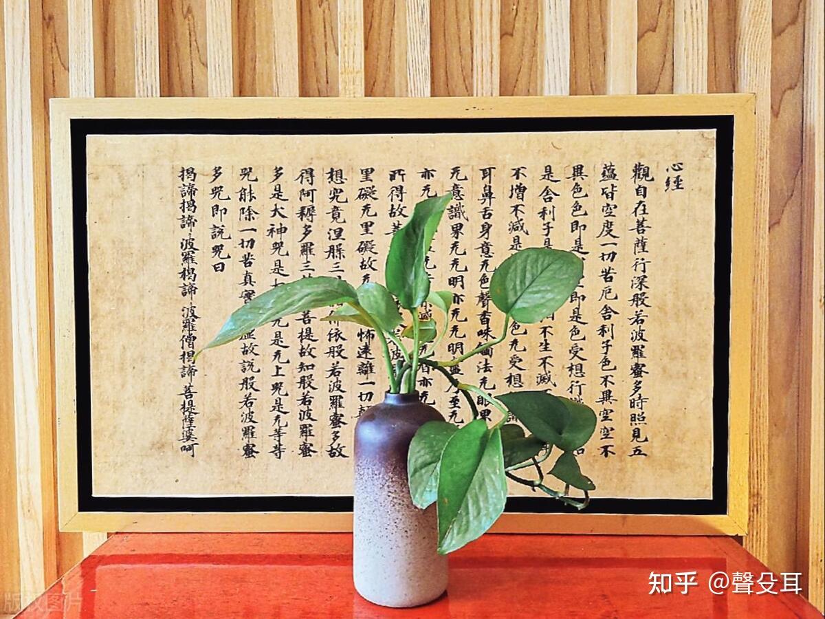《心经》与自我认知:一种超越形式的认知探寻 - 知乎