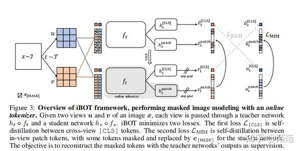 【论文阅读】IBOT : IMAGE BERT PRE-TRAINING WITH ONLINE TOKENIZER - 知乎