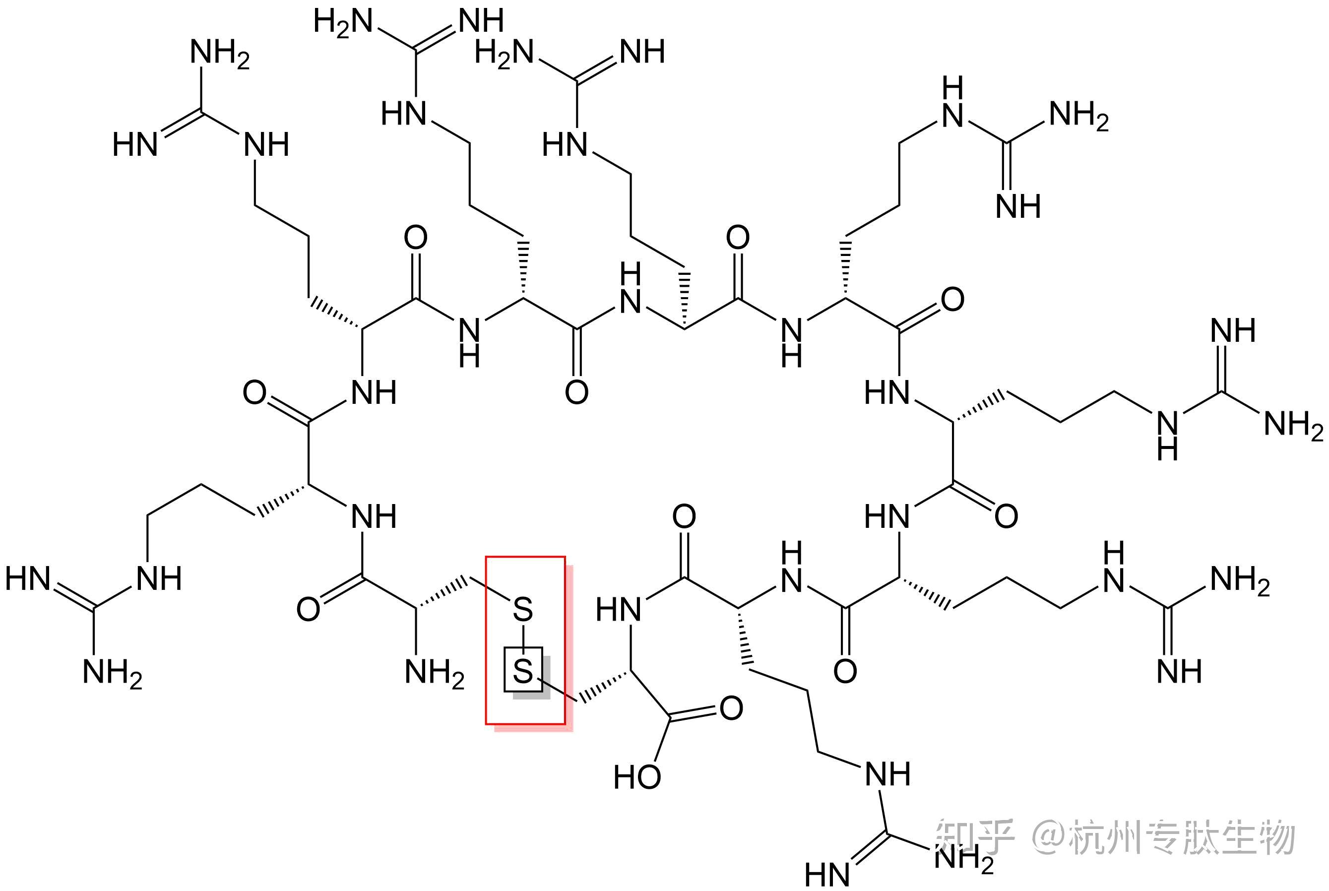 【6.8.5】肽酰脯氨酰顺反异构酶 - Sam' Note