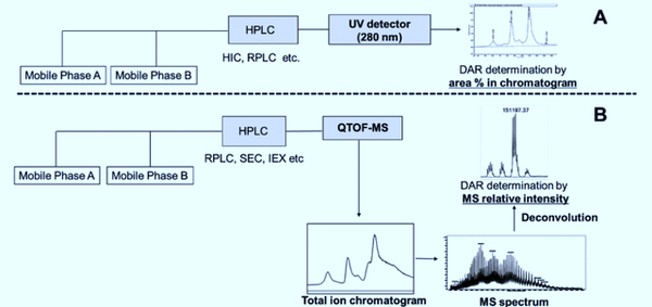 封面故事专题 | ADC药物的液相色谱-质谱分析解决方案 - 知乎
