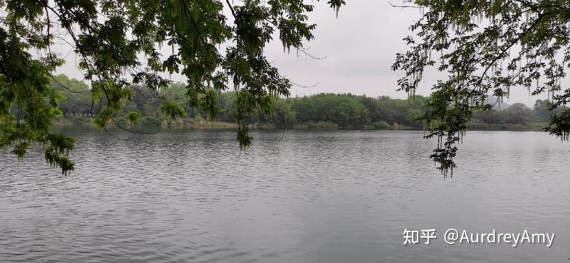 桂林三天两晚游玩攻略 - 知乎