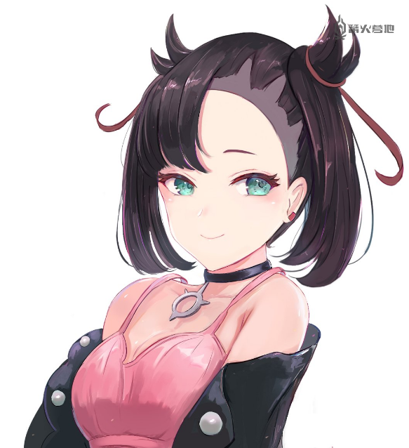 图集整理玩家在宝可梦剑盾里面的那些新老婆