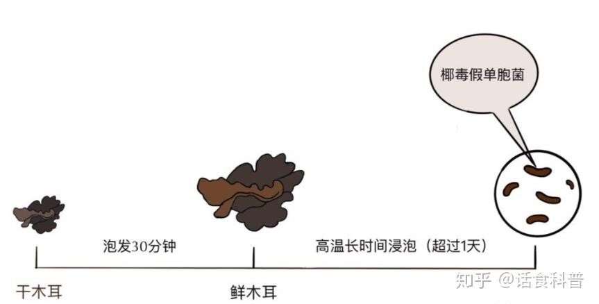 5 g,纤维素7g,还含有硫胺素,核黄素,尼克酸,胡萝卜素,钙,磷,铁等多种