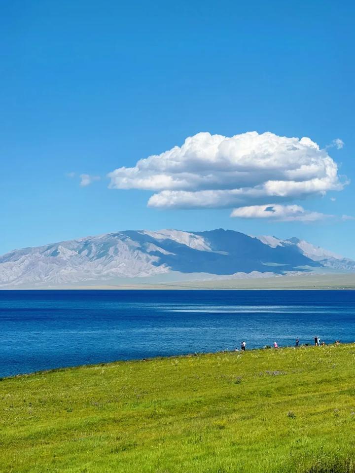 v2-9832da8781e41614f4c19b5293fb40d9_720w