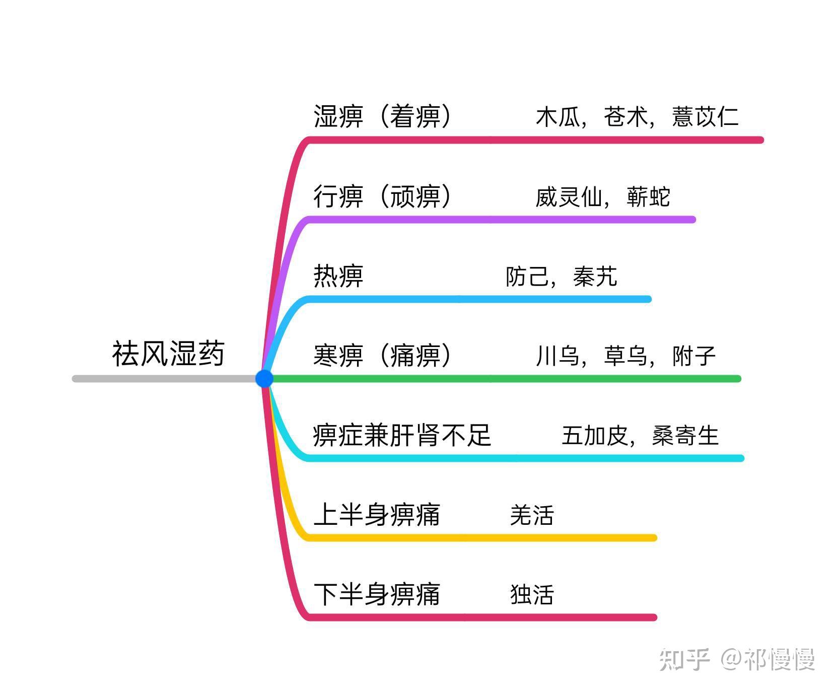 有关中草药的思维导图图片