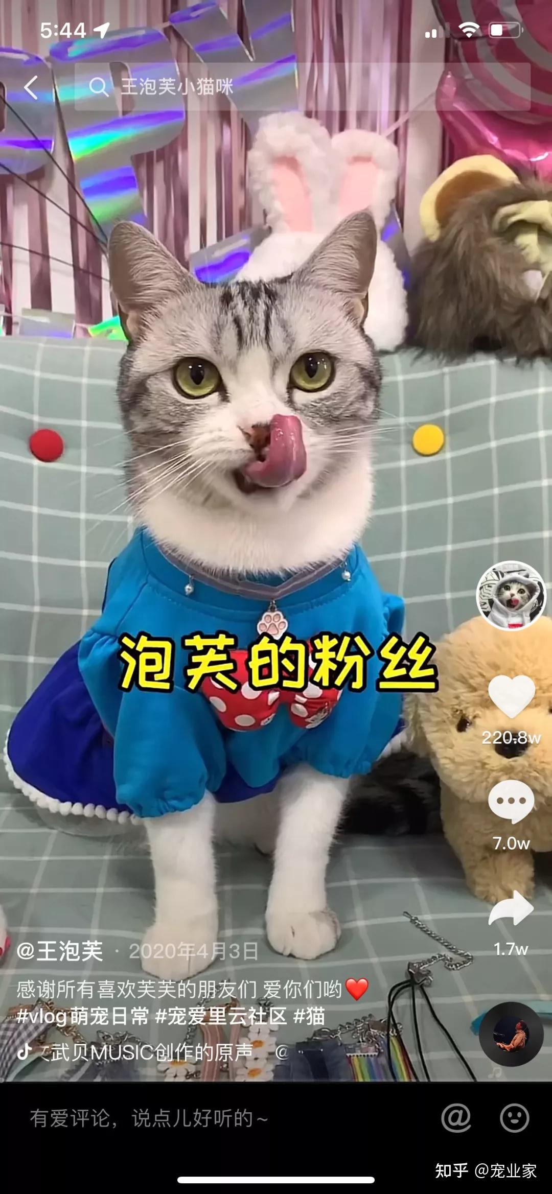 王泡芙随妈妈姓氏的自新一期开始,我们将新增娱乐类萌宠达人,本期为第