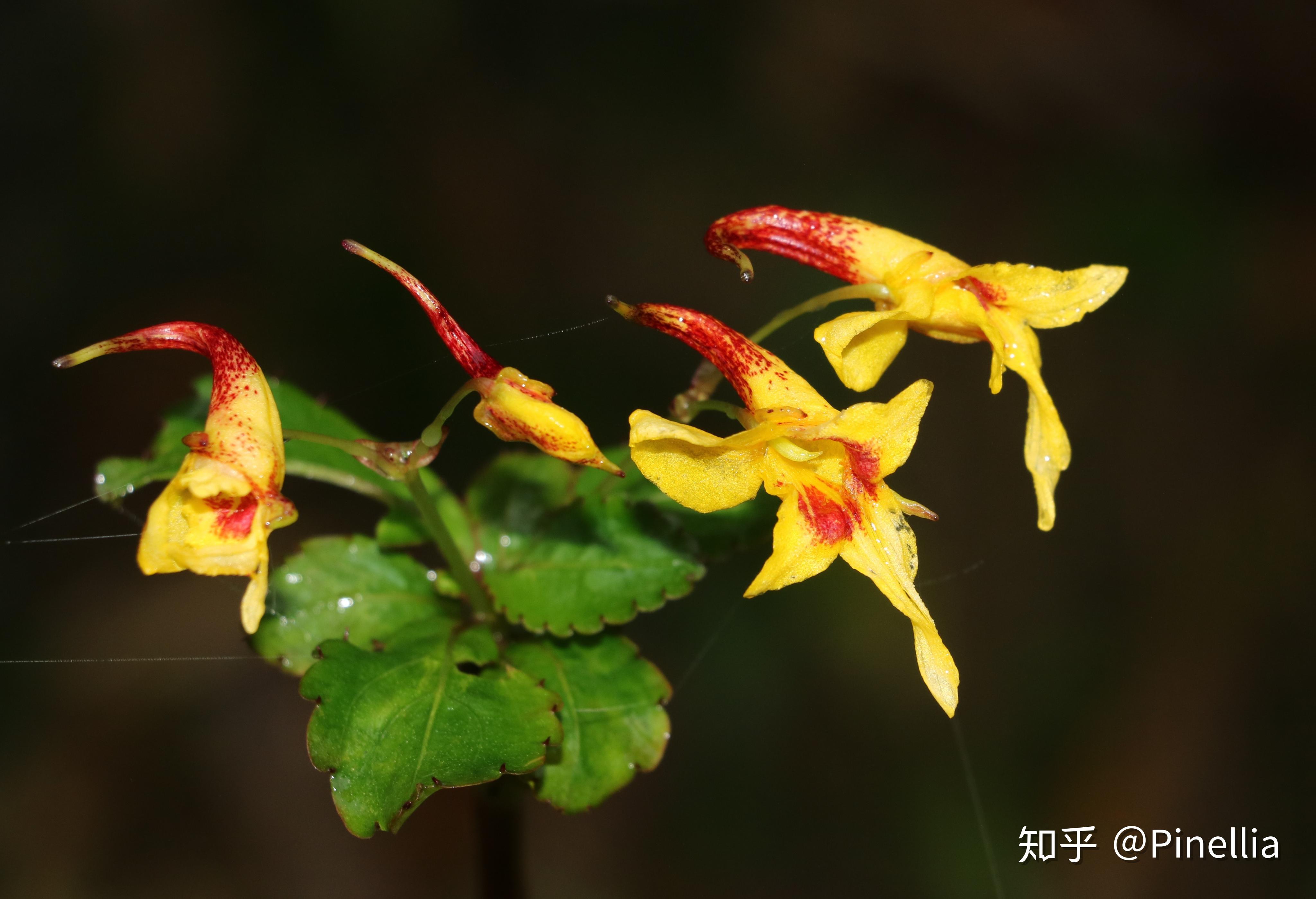 自然:足迹// 山城秋色