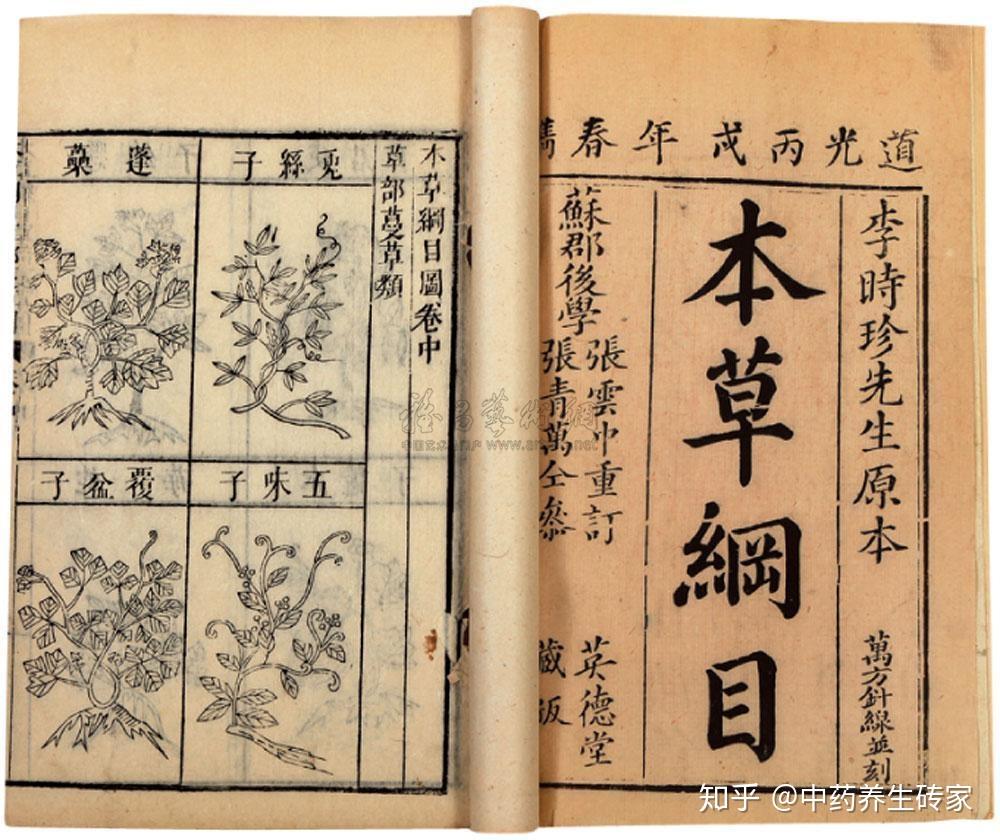 中医的草药功效是怎么发现的呢？ - 知乎