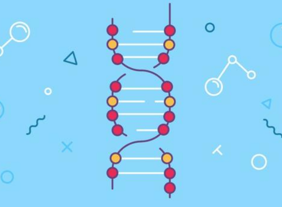 什么是基因突变病 v2-9862d5582941b5b8e2609513a7e4c997_1440w.jpg?source=172ae18b