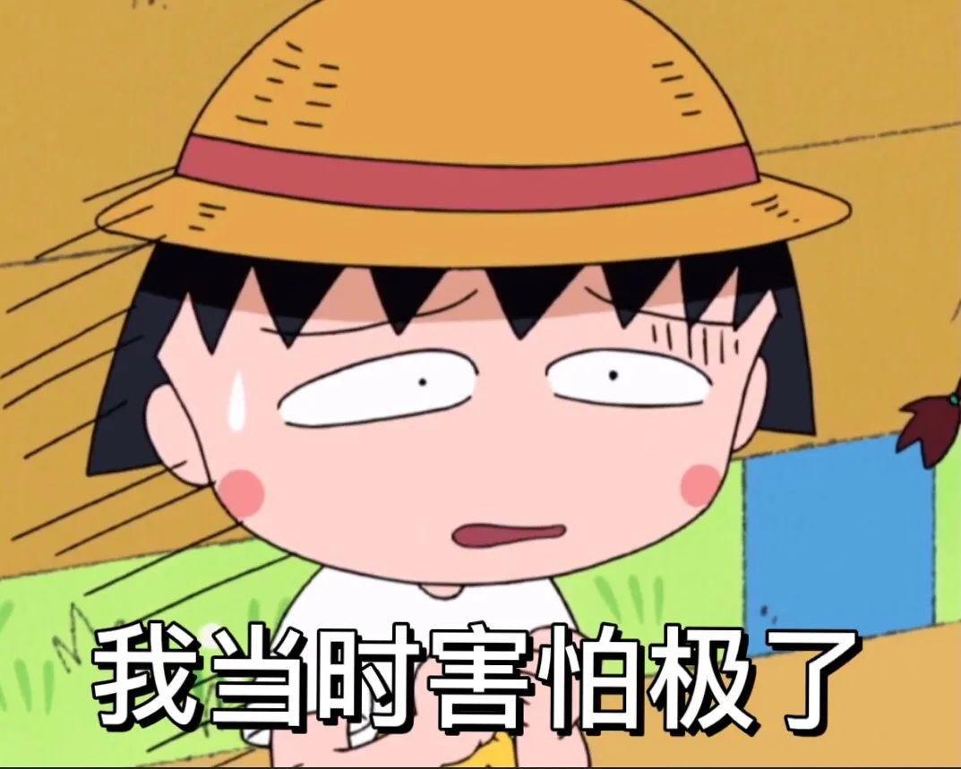 有没有樱桃小丸子的表情包