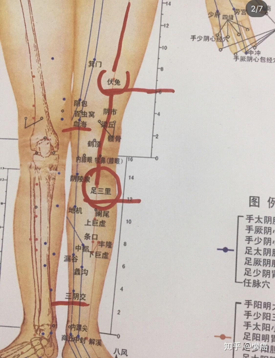 节食减肥真的是把我害惨了01各位千万不要节食