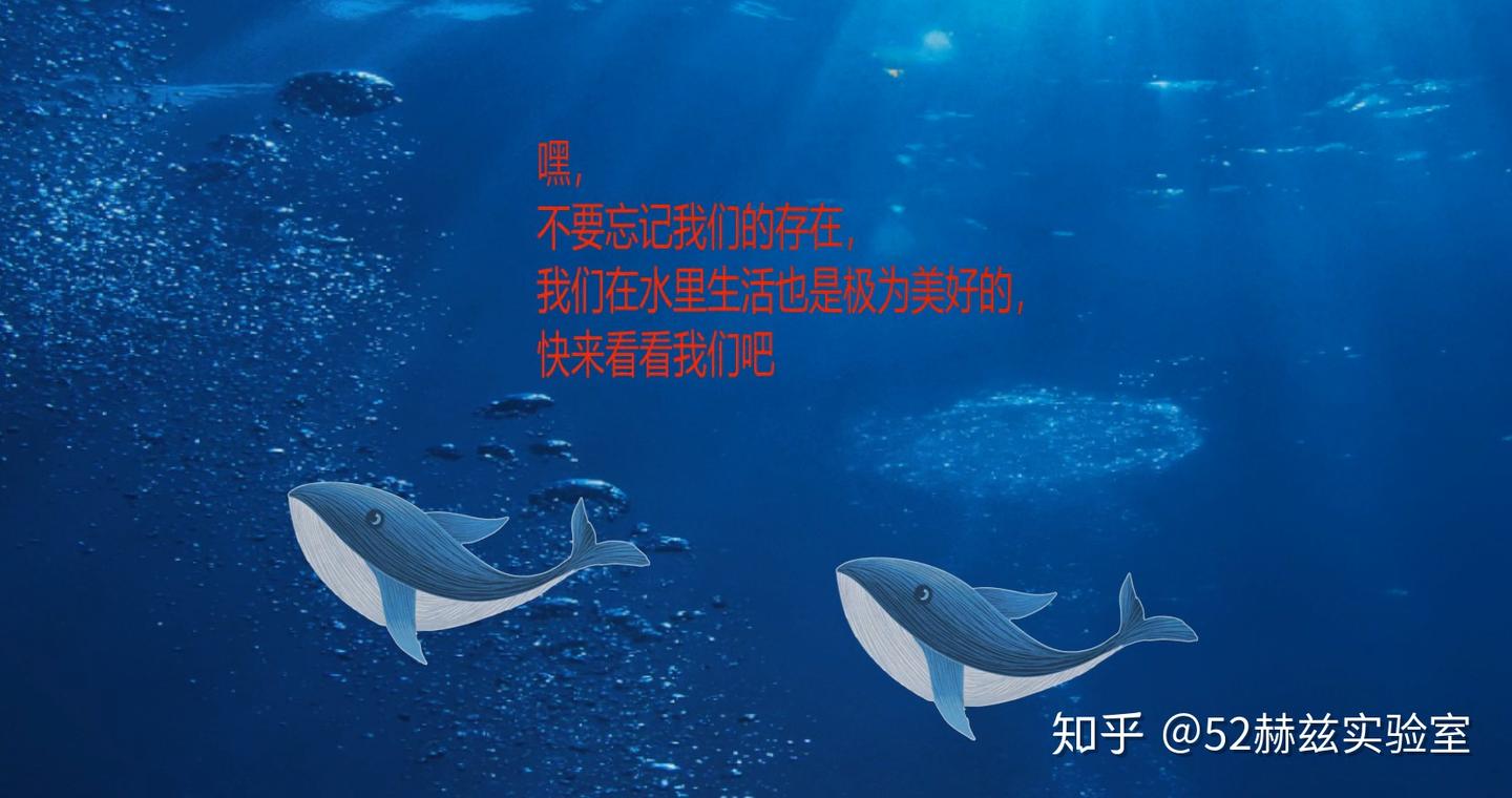 你知道世界上最孤独的生物是什么？ - 知乎