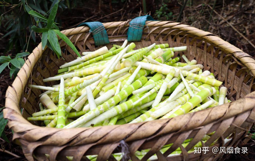 中国,哪的“竹笋”最好吃?经评选,这10个地方上榜,有你家乡吗 - 知乎